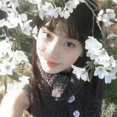 反诈风暴之情爱迷局